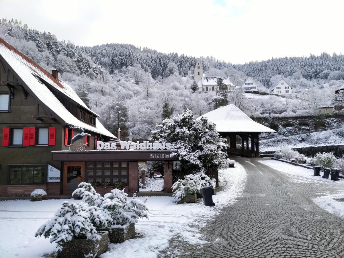 Das Waldhaus Forbach Buitenkant foto